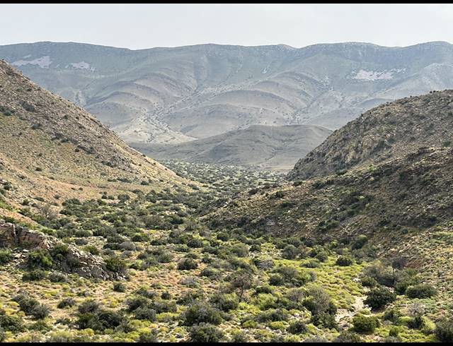 1,175HA FARM FOR SALE IN PRINCE ALBERT RURAL